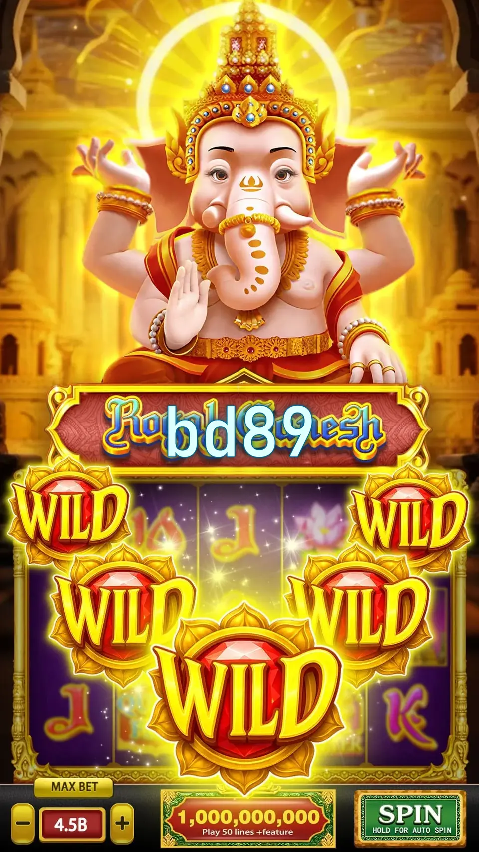 bd89 লগইন